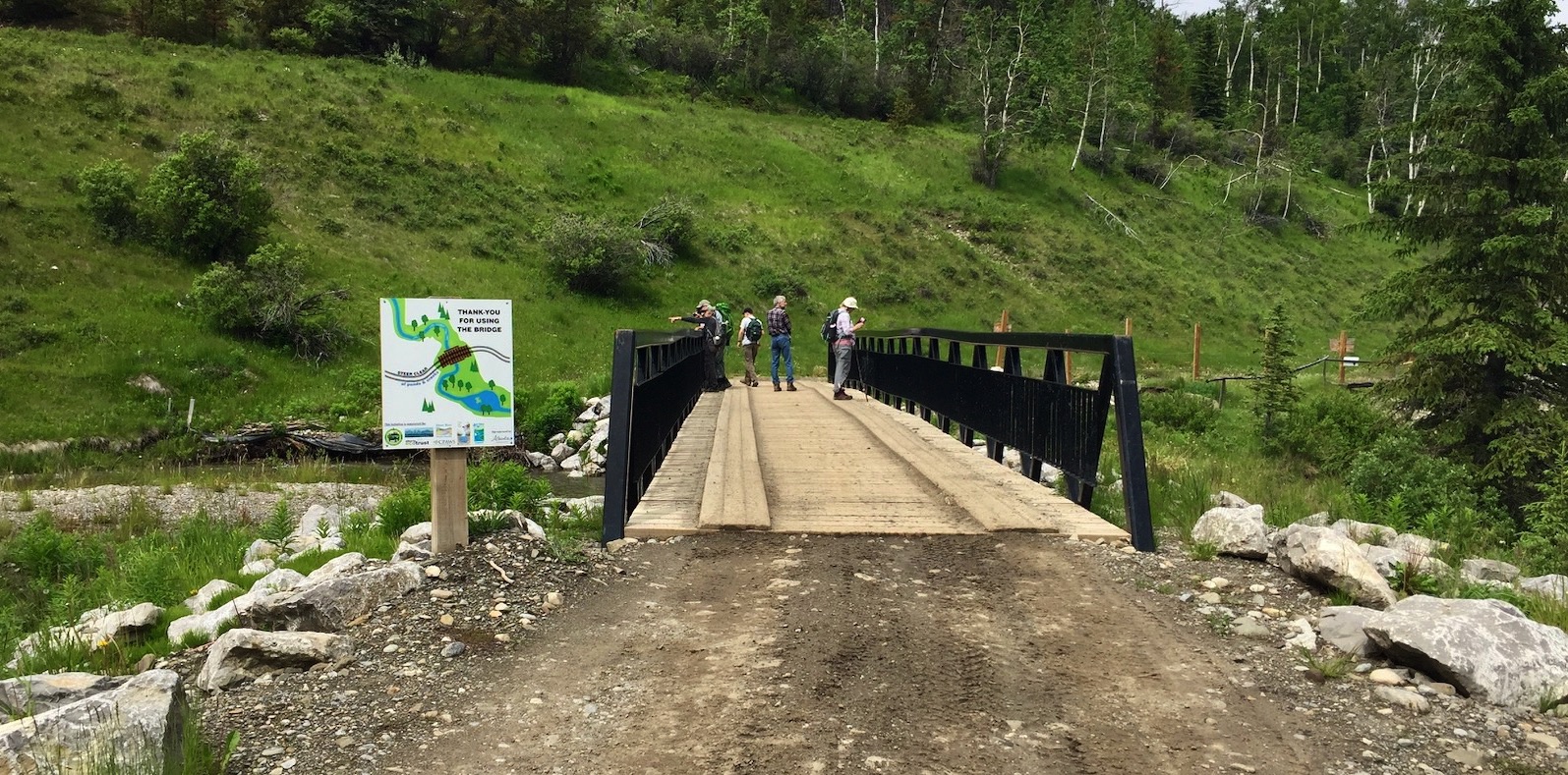 site with bio-engineering applied